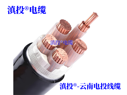 WWW.YNJTDL.COM