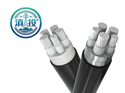 WWW.DTXL.CN